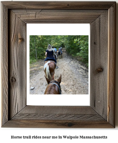 horse trail rides near me in Walpole, Massachusetts